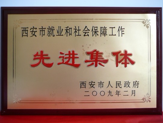 2009年2月，被西安市政府評為西安市就業(yè)和社會保障工作先進集體