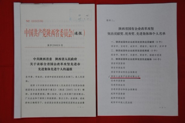 2009年2月，被陜西省委、省政府授予陜西省國有企業(yè)改革攻堅先進集體